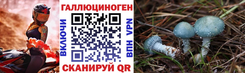 Галлюциногенные грибы Magic Shrooms  Богородск 